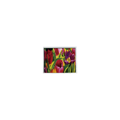 Хорошая цена AM-800480LATMQW-TN0H-L 800*480 5,0 дюйма 3S6P WLED ЖК-панель онлайн