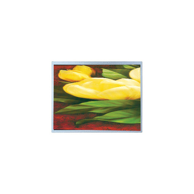 Хорошая цена Горячая продажа 12,1 дюйма AM-1024768R2TNQW-T00H 1024*768 TFT LCD экран онлайн