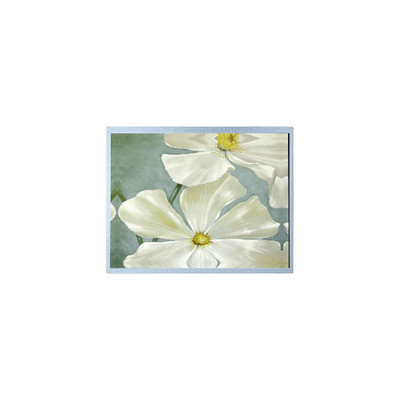 Хорошая цена F-51851GNFQJ-LW-AAN 240*64 5,2 дюйма 72 була LCD дисплейная панель онлайн