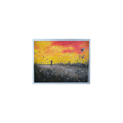 Хорошая цена F-55157GNB-FW-APN 320*240 5,7 дюймовый ЖК-дисплей онлайн