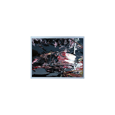 Хорошая цена P1210WXF1MA01 12,1 дюймовый модуль LCD-панели LVDS TFT онлайн