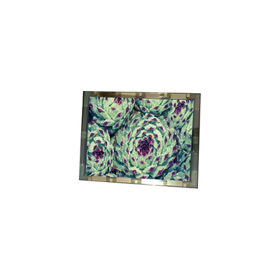 Хорошая цена 276*128 EL4836HB-ICE 6,3 дюйма 110 cd/m2 ЖК-дисплей онлайн