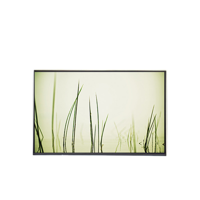 Хорошая цена B160ZAN01.R LCD Ноутбук с 16-дюймовой панелью онлайн