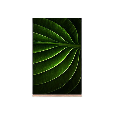 Хорошая цена ЖК-экран 10,1 дюйма для LCD-модуля NV101WUM-N53 онлайн