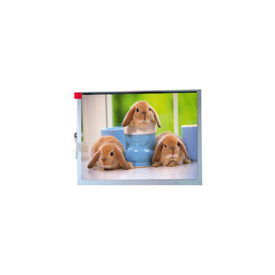 Хорошая цена Новый TM070SDH03 800*600 7,0 дюймовый TFT-LCD экран онлайн