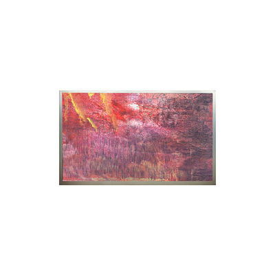 Хорошая цена Оригинальный 22,0 дюймовый 1680*1050 разрешение ЖК-экран M220Z1-PS3 онлайн