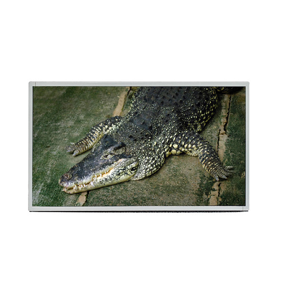 AUO 19,5 экран дисплея интерфейса 1600X900 TFT LCD панели M195RTN01.0 LVDS дюйма для промышленного ноутбука