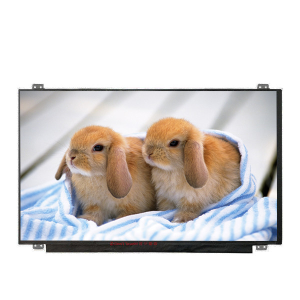 Предоставьте B156HAN04.4 размер 15,6 дюйма LCD дисплей с светодиодным драйвером