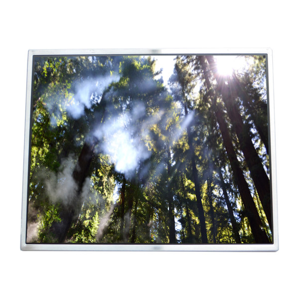 LTM190M2-L01 ЖК-дисплей 19,0 дюйма Экран LVDS 30pin соединитель LCD модуль