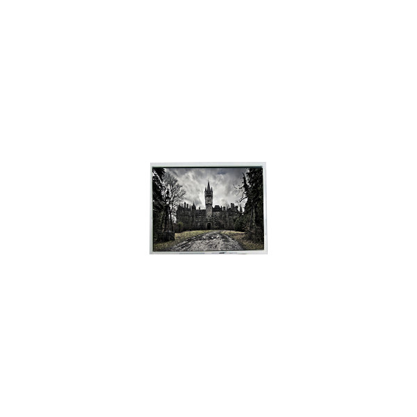 5.7 дюймовый AM-320240N1TMQW-00H-A(R) 320*240 60Hz 262K LCD экран