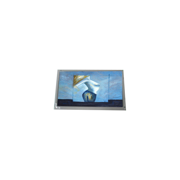 AM-800600JTMQW-A0H 7.0 дюймовый LVDS TFT-LCD дисплей для промышленных