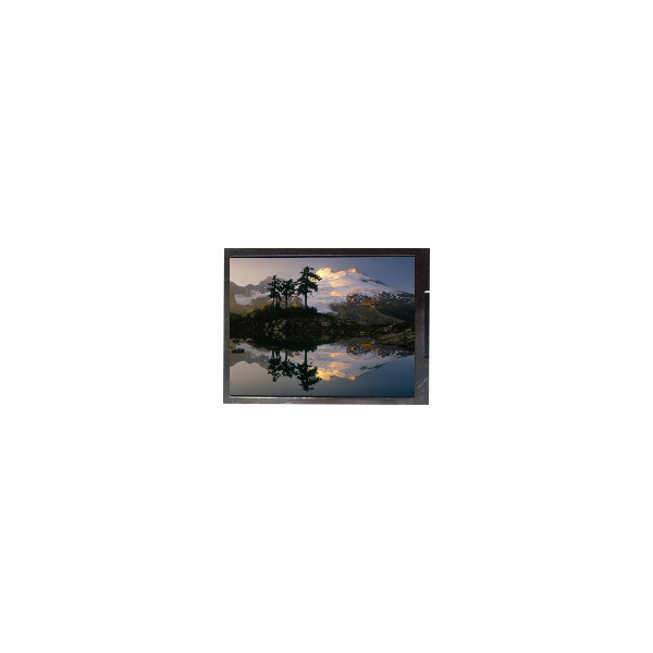 F050A19-6T1 5,0 дюйма 720*1280 ЖК-дисплей для мобильного телефона
