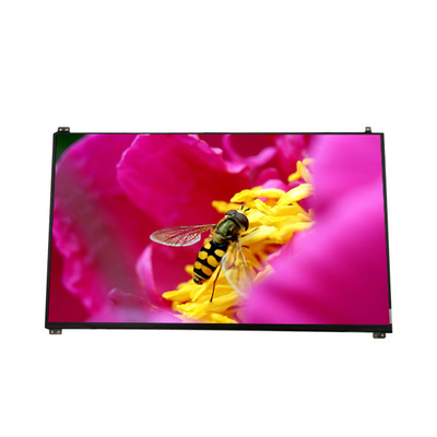 Хорошая цена Экран штейновый LCD N140BGE-E53 Innolux LCD показывает EDP 1366*768 14,0 штырей дюйма 30 онлайн