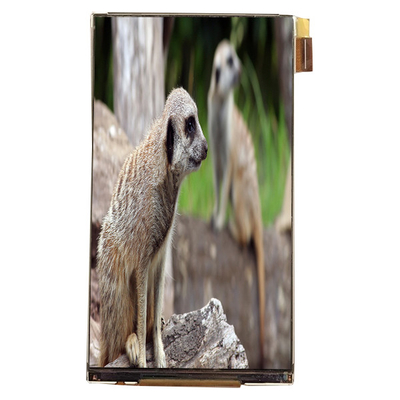 Хорошая цена LQ055K3SX02 5,5 дюймовый ЖК-модуль Интерфейс 720*1280 ЖК-экран для автомобильного дисплея онлайн
