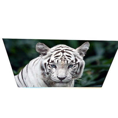 Хорошая цена Промышленность G270QAN02.0 27.0 дюйма 70 штифтов TFT LCD панель онлайн
