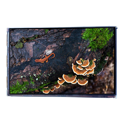 Хорошая цена VVX07H005A00 7,0 дюйма 450 cd/m2 LCD дисплейная панель онлайн
