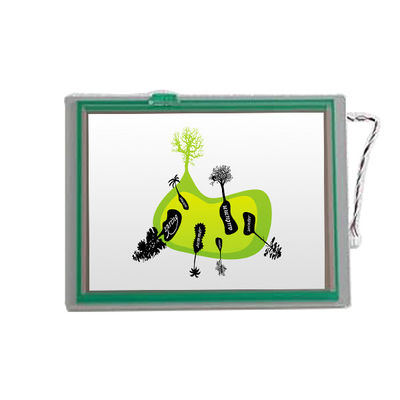 Хорошая цена TCG075VGLEAAFA-GA00 7.5 дюйма 640*480 Модуль ЖК-дисплея для Kyocera онлайн