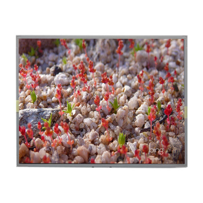 Хорошая цена LM2011-SLWE01 Оригинальный 20,1 дюймовый 1680*1050 ЖК-дисплей онлайн