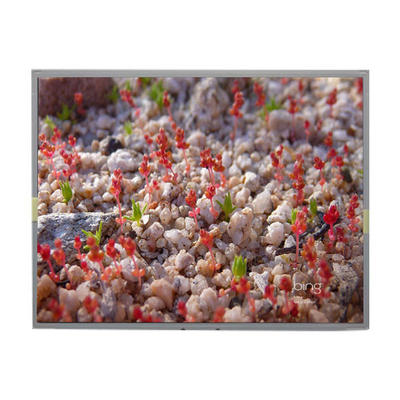 Хорошая цена LM201WE2-SLBC TFT LCD модуль 20,1 дюймовой ЖК-панели для LG онлайн