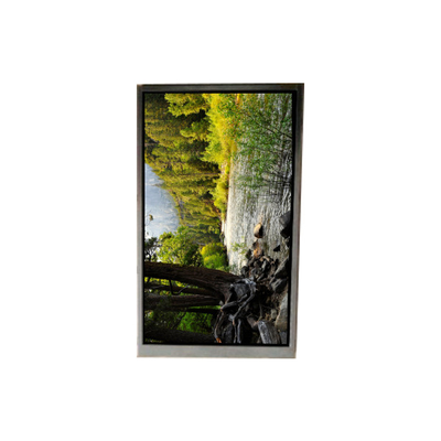 Хорошая цена BA050WQ2-200 5,0 дюйма 480 * 272 ЖК-экрана для портативной навигации онлайн