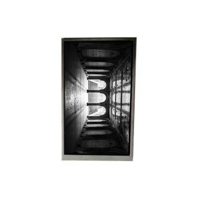 Хорошая цена BS055FHE-L30-6Q01 5,5 дюймовый ЖК-дисплей ЖК-экран ПАНЕЛЬ Для мобильного телефона онлайн