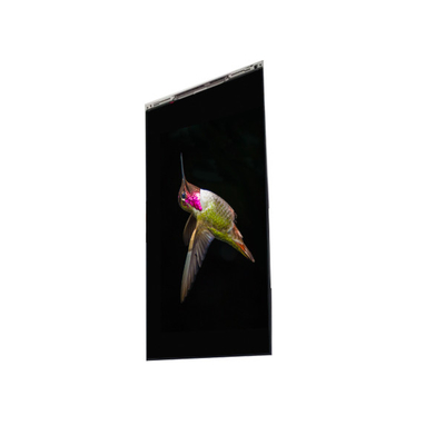 Хорошая цена BS062FBE-L30-6Q00 6,3 дюйма ЖК-дисплей ЖК-экран ПАНЕЛЬ Для мобильного телефона онлайн