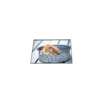 Хорошая цена LB065WQ4-TD01 400*240 6,5-дюймовый ТФТ ЖК-дисплей онлайн