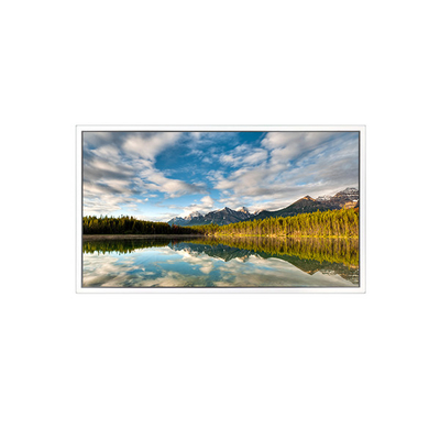 Хорошая цена 55 дюймовый DV550FHB-N30 1920*1080 ЖК-экран для прозрачного дисплея онлайн