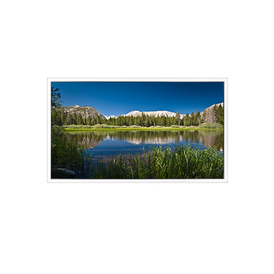 Хорошая цена 65дюймовый 3840*2160 DV650QUB-R01 1.07B 72%NTSC LCD экранная панель онлайн