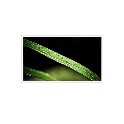 Хорошая цена 3840*2160 65 дюймовый DV650QUM-NV0 500 cd/m2 ЖК-экран для видеостены онлайн