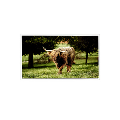 Хорошая цена 20.1дюймовый TDA201-001V03 1600*1200 900 cd/m2 LVDS LCD экранная панель онлайн
