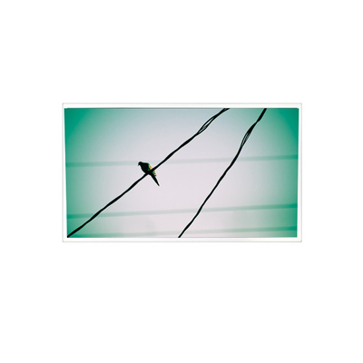 Хорошая цена TDA104-001V01 10,4 дюйма 1024*768 1000:1 LVDS ЖК-панельный дисплей для промышленной онлайн