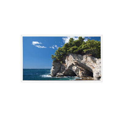 Хорошая цена TV101WXM-NM1 800*1280 10,1 дюйма 39 штифтов 8S4PWLED ЖК-панель онлайн