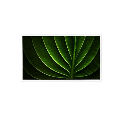 Хорошая цена TAD201-001 20,1 дюйма 1600*1200 450 cd/m2 60Hz ЖК-экран для промышленности онлайн