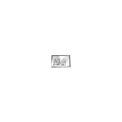 Хорошая цена 8.8 дюймов 768*768 TPA088-001V02 16.7M 71% NTSC ЖК-панель для промышленной онлайн