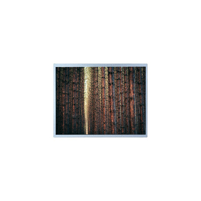 Хорошая цена 8.4 дюйма 800*600 B084SN05 V0 262K LVDS Модуль ЖК-экрана онлайн