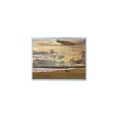 Хорошая цена G150XG03 V3 CELL 1024*768 15,0 дюймовый LVDS 20 штифтов ЖК-дисплей онлайн