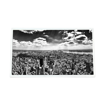 Хорошая цена 22.0 дюймовый G220SW01 V1 1680*1050 2000:1 LVDS LCD дисплей онлайн