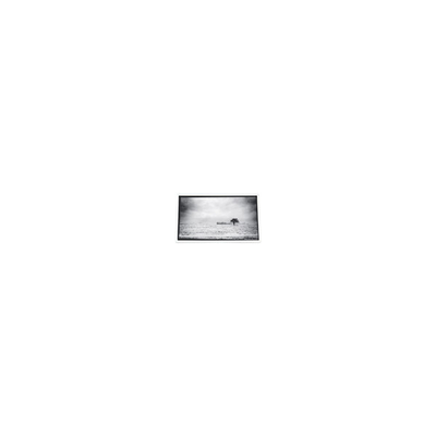 Хорошая цена 640*480 3,5 дюйма PD035VX1 262K LCD экран для проектора онлайн