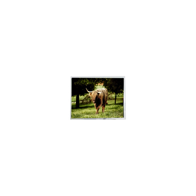 Хорошая цена PD064VL1 640*480 6,4 дюйма LVDS 20 штифтов LCD-экран Панельный модуль онлайн