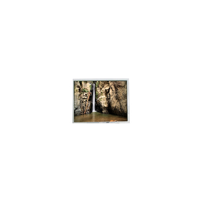 Хорошая цена 800*600 PD104SLJ 10,4 дюйма 400 cd/m2 60 Гц ЖК-дисплей онлайн
