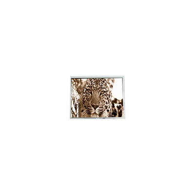 Хорошая цена PM070WM2 7,0 дюйма 800*480 ЖК-экран для портативного DVD-плеера онлайн