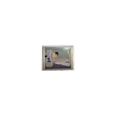 Хорошая цена 800*480 5,0 дюйма AM-800480NATZQW-00H ЖК-дисплей онлайн
