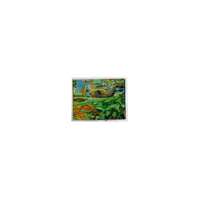 Хорошая цена Оригинальный 800*480 5,0 дюйма AM-800480NGTZQW-01H 45 пин WLED LCD экранная панель онлайн