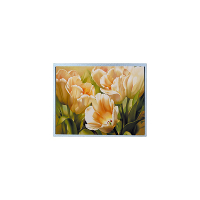 Хорошая цена 90,0 дюйма 1024*600 AM-1024600Y2TZQW-A0H TFT 1200 cd/m2 ЖК-экранная панель онлайн