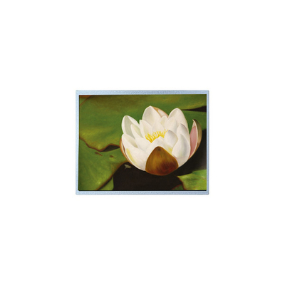 Хорошая цена AM-1024768M2TMQW-T06H 1024*768 10,4 дюйма PCAP TFT LCD Screen Части онлайн