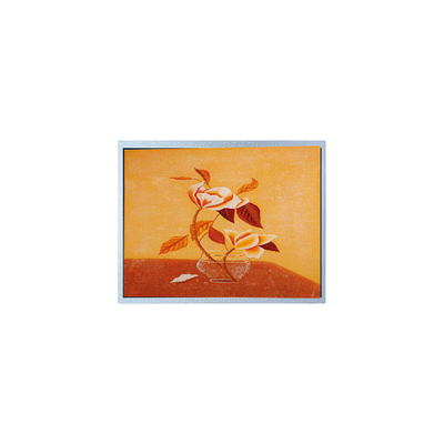 Хорошая цена Новый 15,0 дюймовый AM-1024768Q2TMQW-00H TFT LCD экран для промышленности онлайн