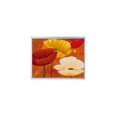 Хорошая цена AM-1024768QTMQW-00H 15,0 дюйма 1024*768 20 пин TFT LCD экранная панель онлайн