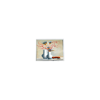 Хорошая цена Новый 5,2-дюймовый модуль дисплея LCD DMF5010NB-FW-BC 400 cd/m2 онлайн