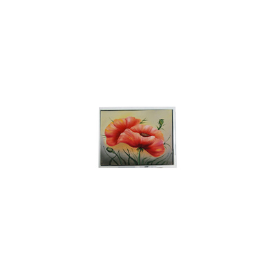 Хорошая цена DMF5010NF-FW 240*64 5,2-дюймовый ЖК-панель Промышленный экран онлайн